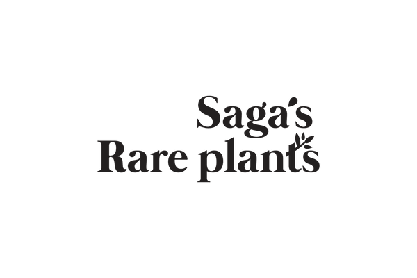 Sagas Rare Plants